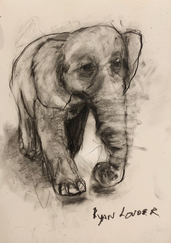 Happy Elephant - Small Drawing