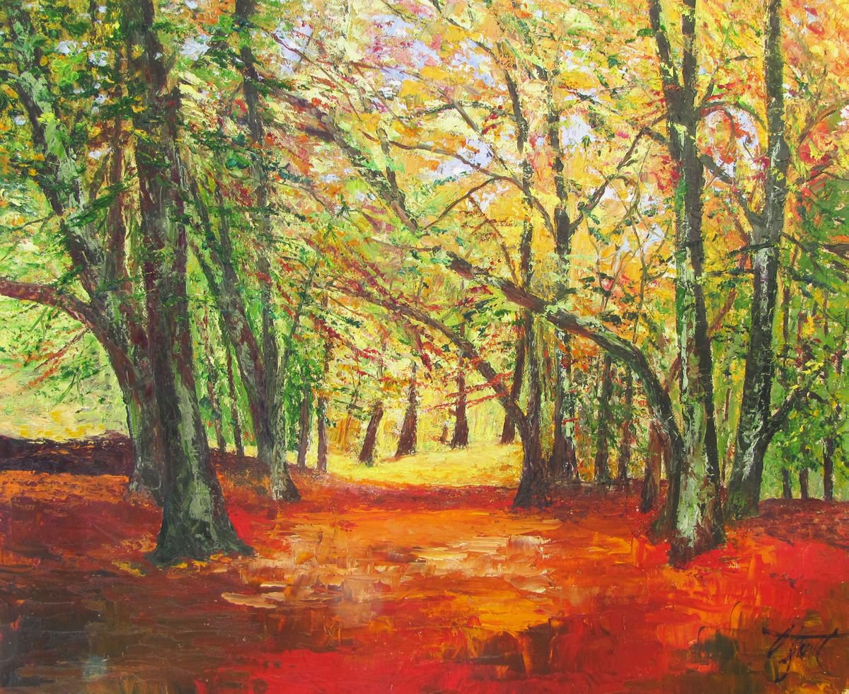 South Downs in Autumn by Christine Gaut