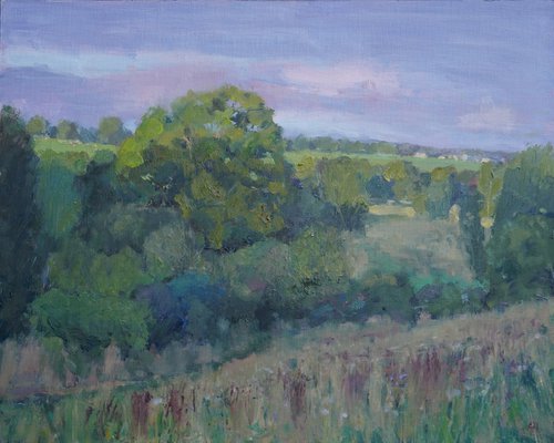 Evening, Windrush Valley by Alex James Long
