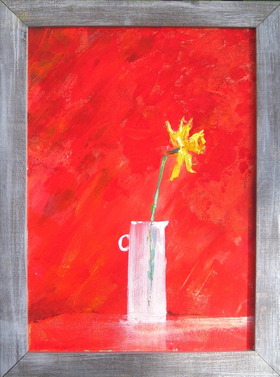 'Isolated Daffodil'