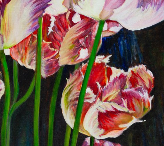 Tulips In The Sunlight