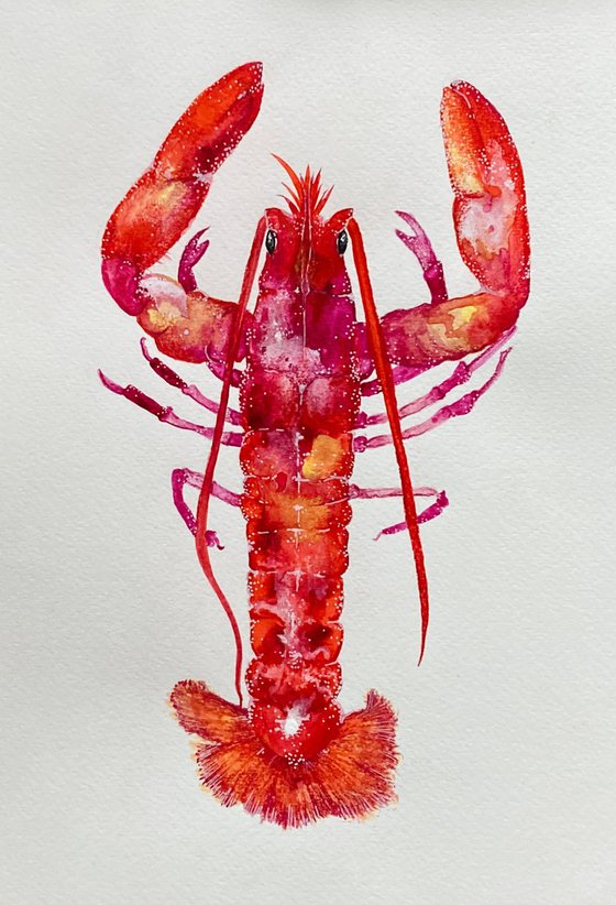 Watercolour Lobster