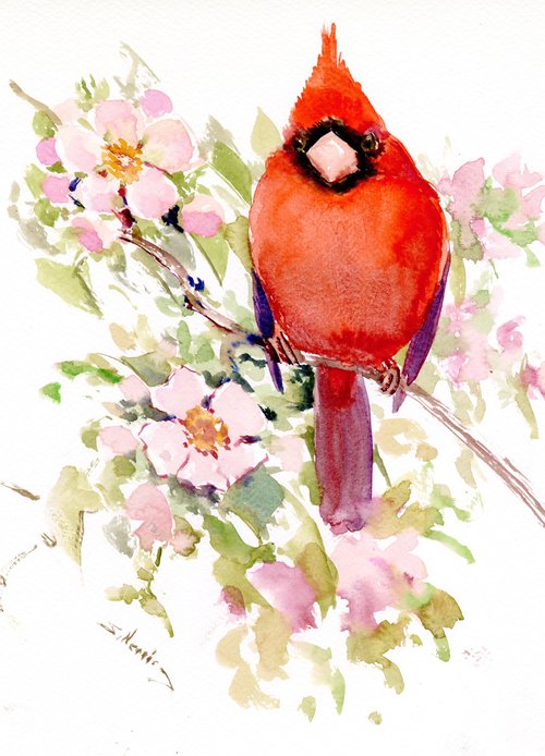 Cardinal Bird and Spring Blossom by Suren Nersisyan