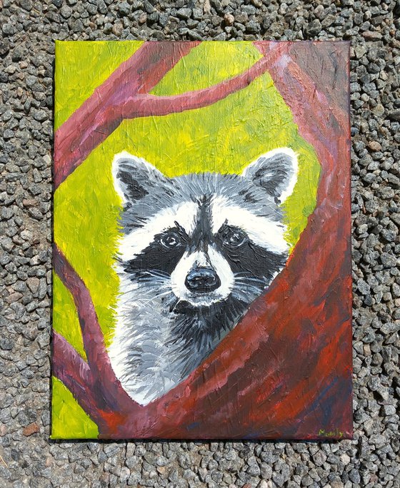 "Cute raccoon"