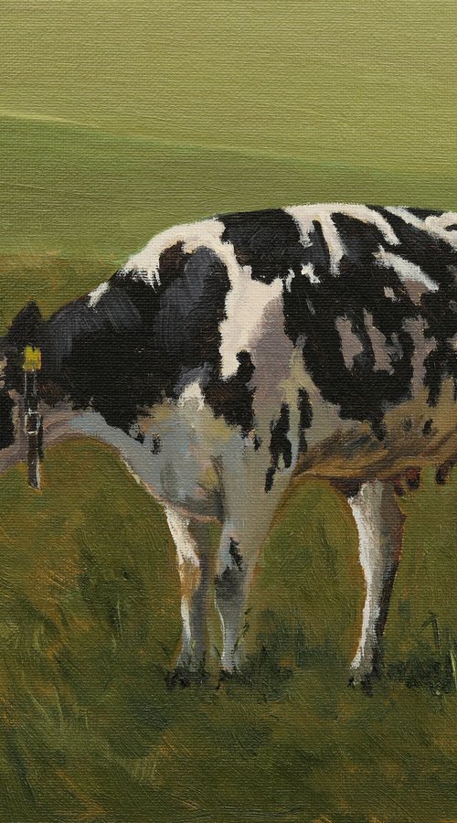Swiss Holstein Cow by Tom Clay