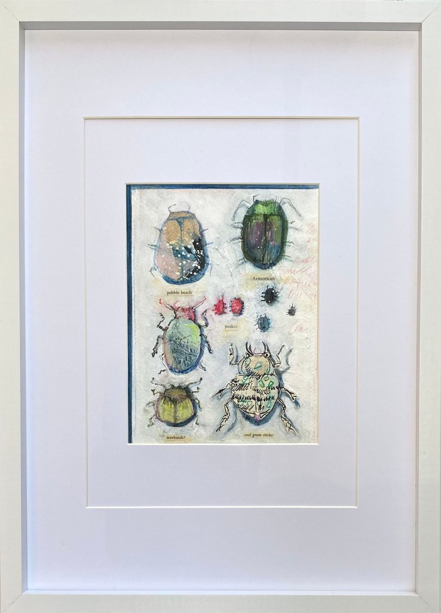 Bug Collection #08 By Luci Power, 13 X 17, Artwork For Sale On Artfinder