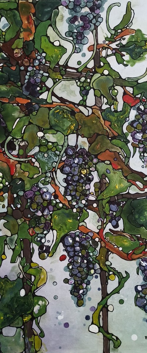The vine by Beta Sudnikowicz