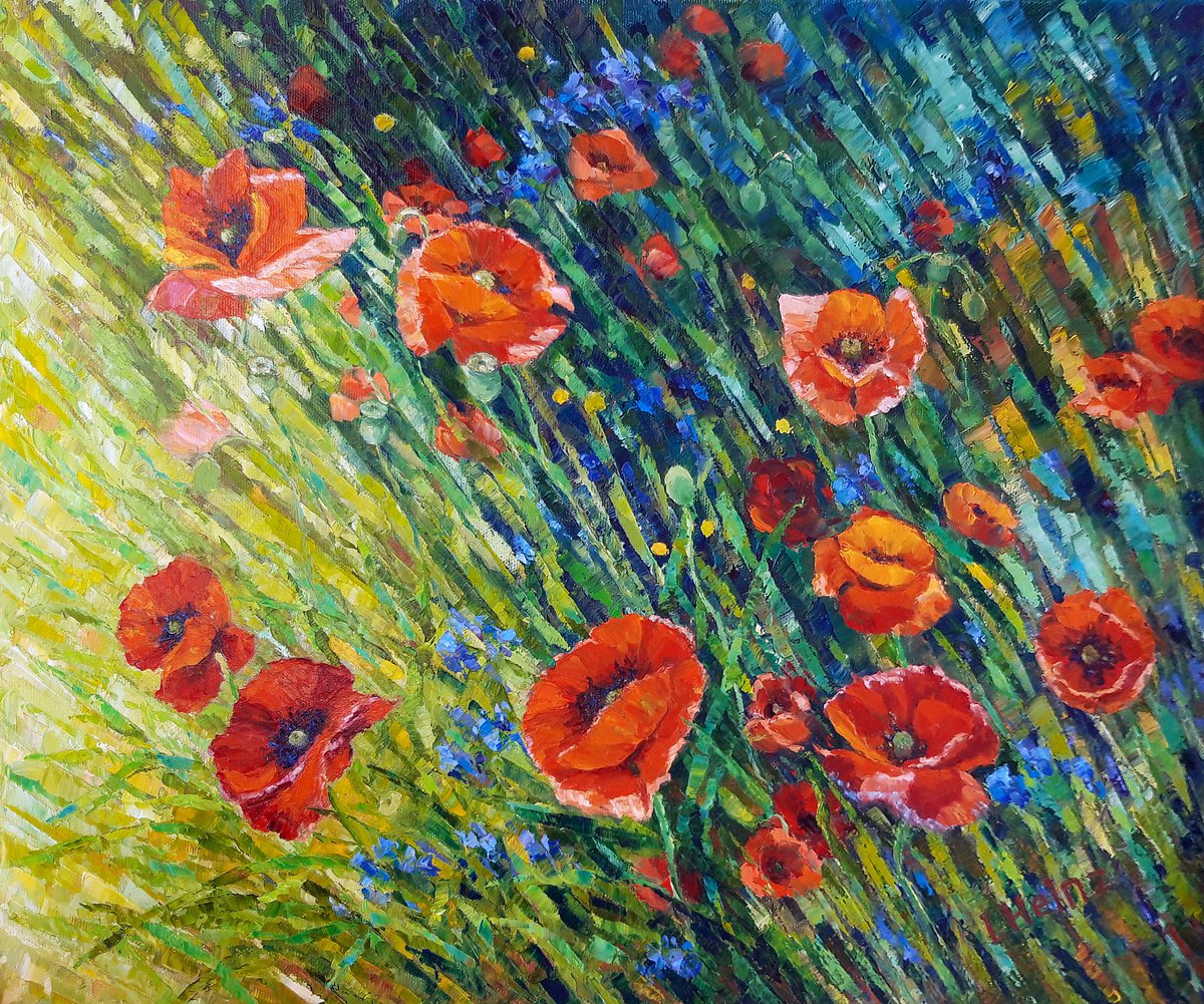 Poppy meadow by Irena Heinz