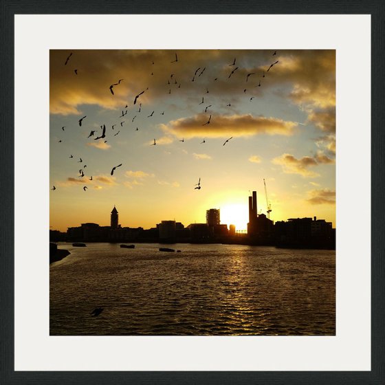 London Wings, 21x21 Inches, C-Type, Framed