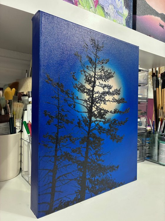 Nocturnal Pines