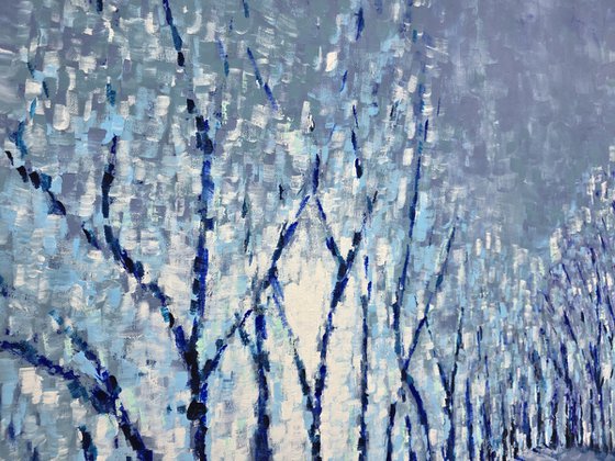 The Last Glow of Winter