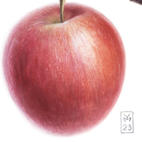 Red Apple