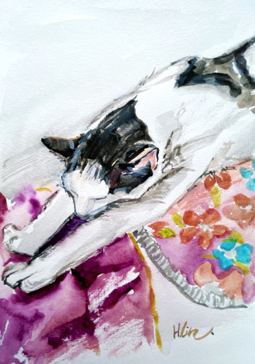Animal Watercolour By Hsin Lin, 7 X 9, Napping On My Mat, Original Artwork