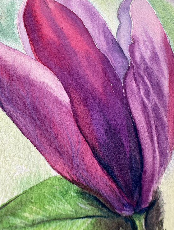 Blooming Pink Magnolia