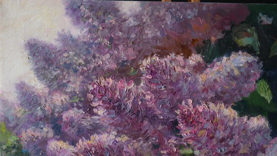 Sunny Lilacs - Lilacs painting