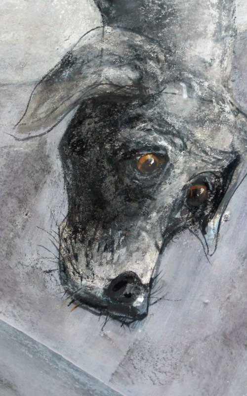 A grey dog, on a grey day, under the Mancunian Way. by John Sharp