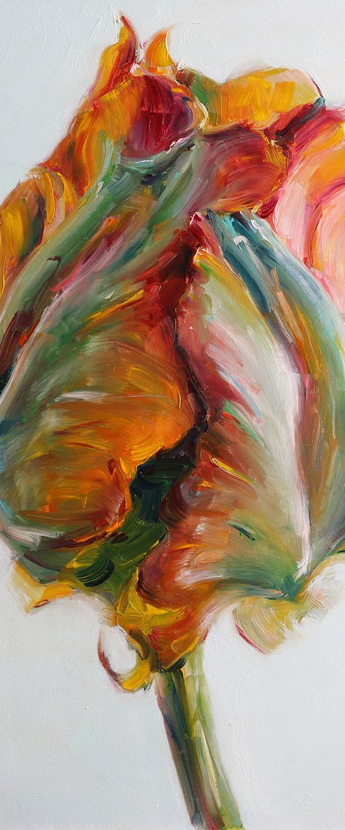 parrot tulip by Catherine Braiko