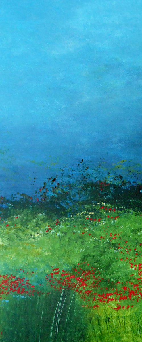 Evening Poppy Field by Elaine Allender