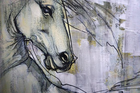 Carousel of Rain and Sun. Horses