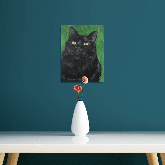 Charismatic Cat