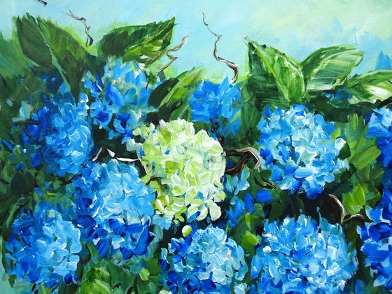 Blooming Hydrangea Serenity