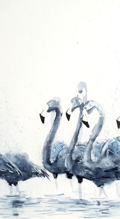 Blue indigo flamingoes by Carlos Martín
