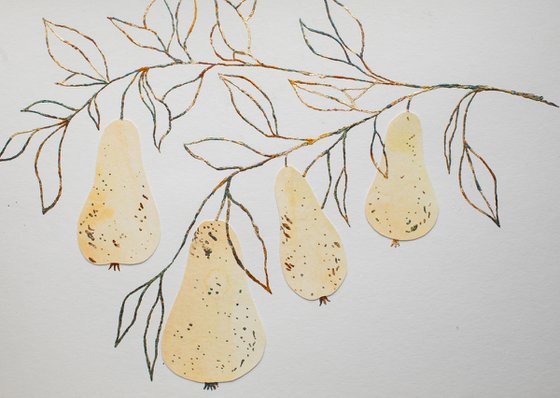 Sweet pears