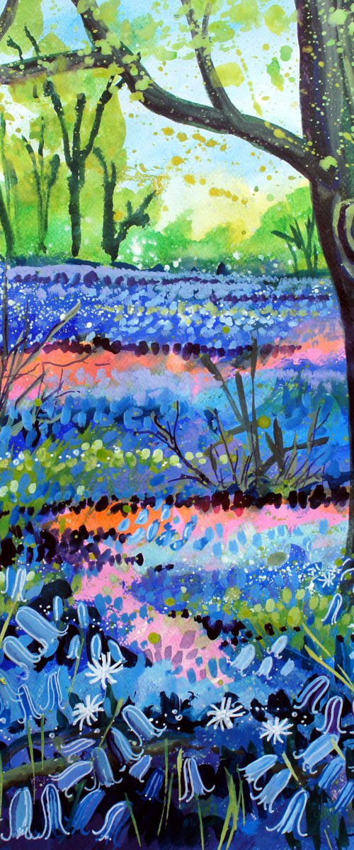 Bluebells and Stitchwort Woodland path by Julia  Rigby