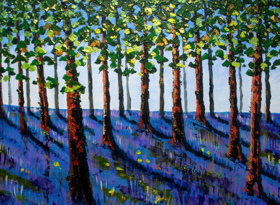 Bluebell wood V
