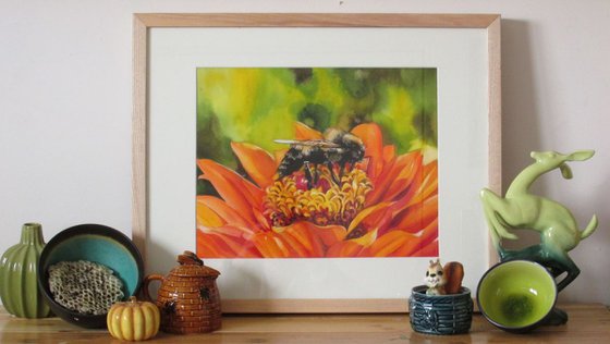 Bee with Zinnia