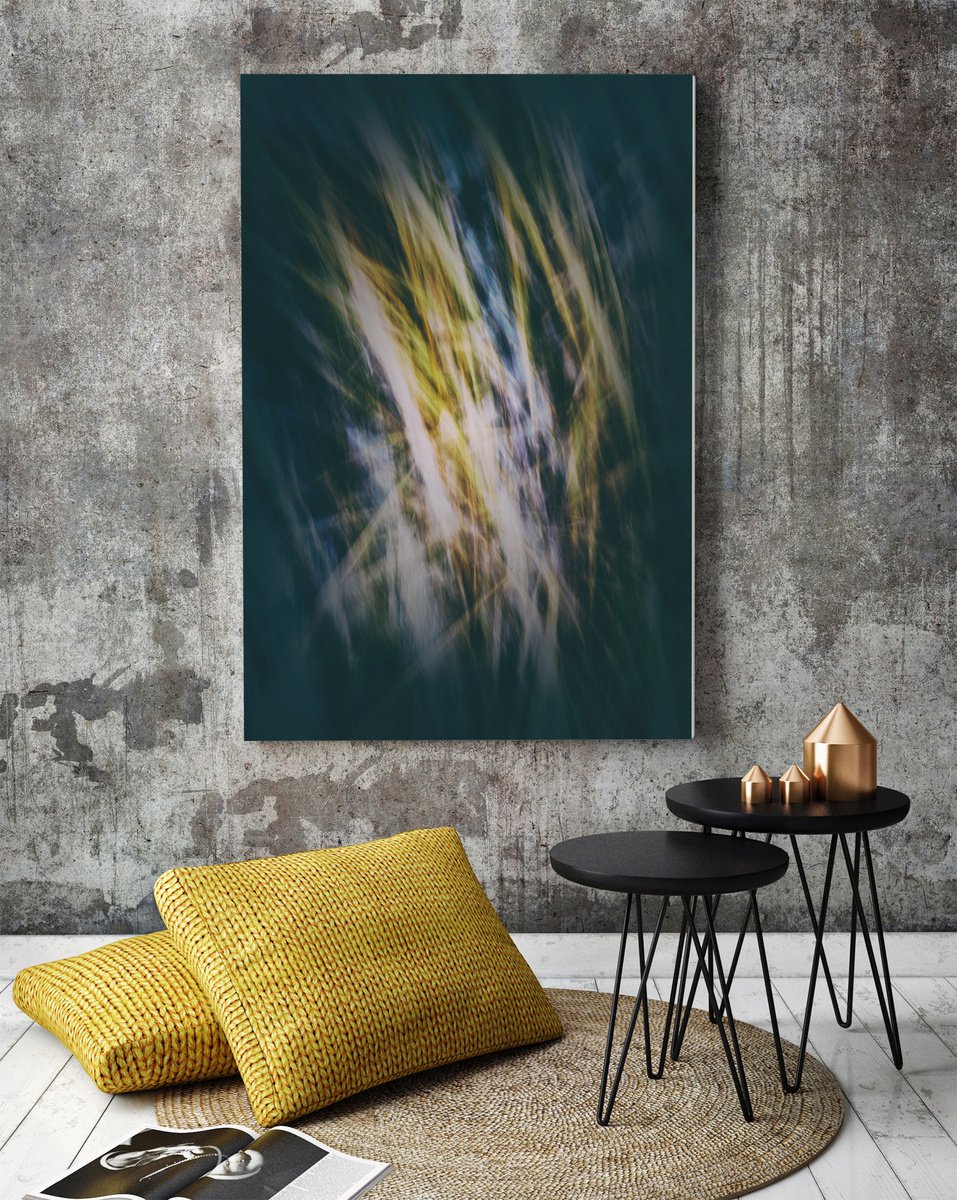 Abstract Photograph By Karim Carella, 31 X 45", Frozen (Studio 7), Original Artwork