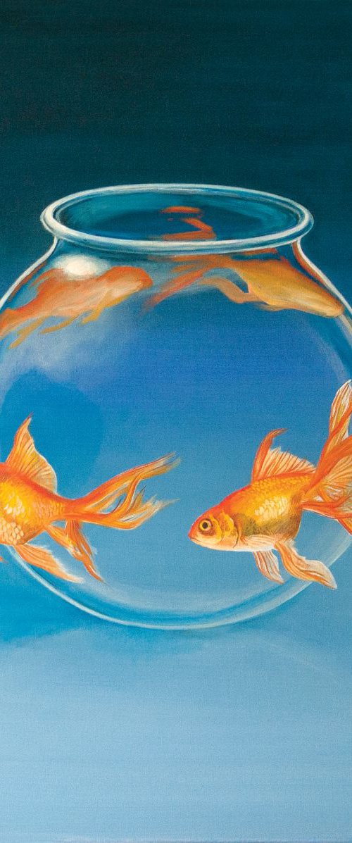 Goldfish II by Daniel Loveday