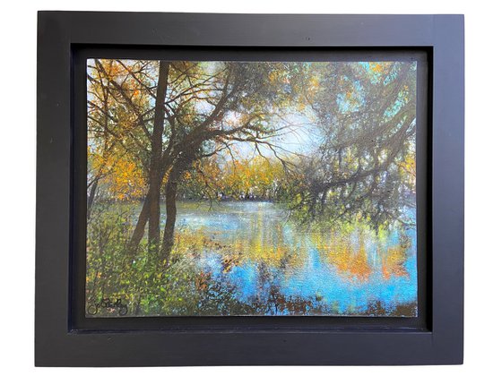 'Reflections of Autumn Light'