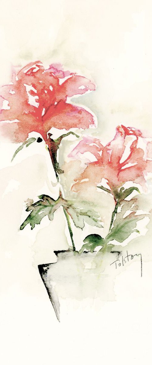 Roses by Alex Tolstoy