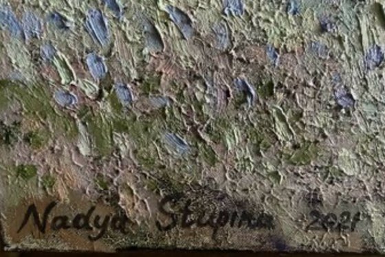 Flying over old Halden