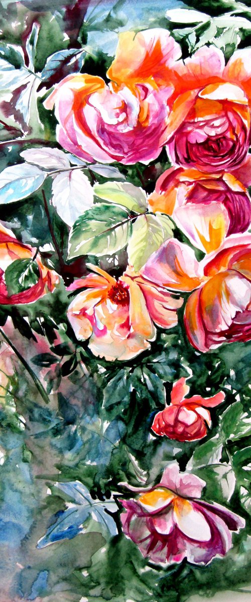Roses in the garden by Kovács Anna Brigitta