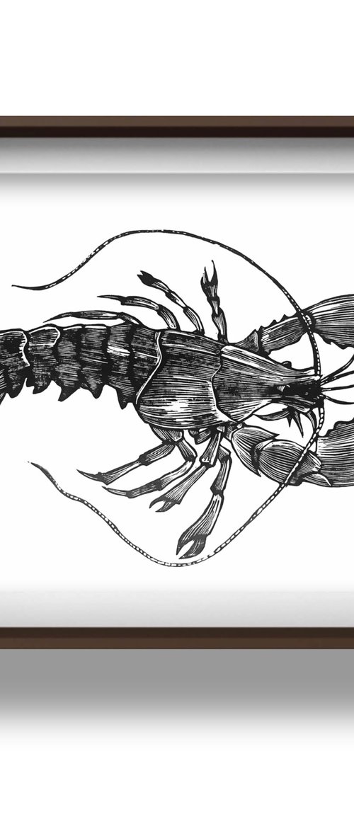 Black Lobster by Amy Cundall