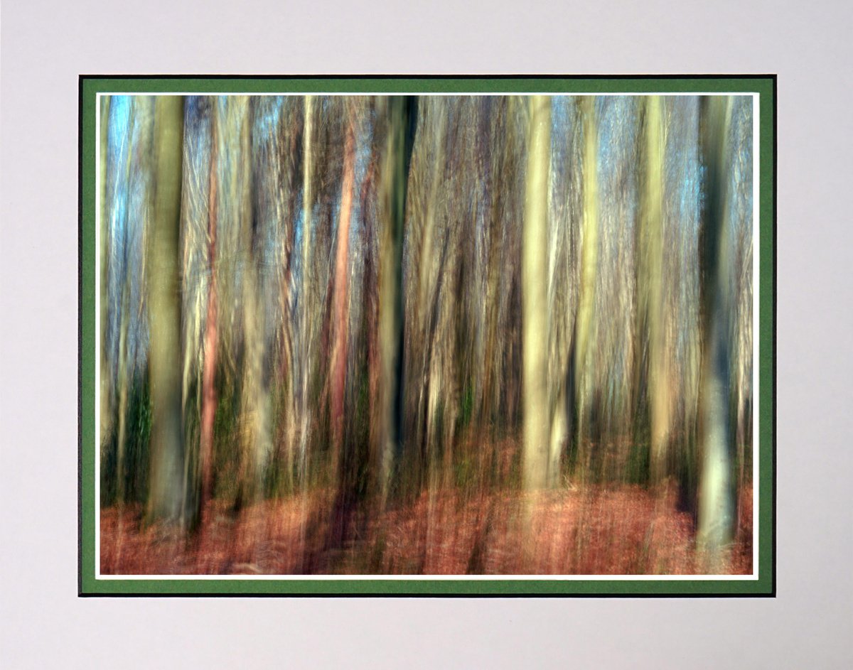 Deep in the Forest three with ICM Photography by Robin Clarke