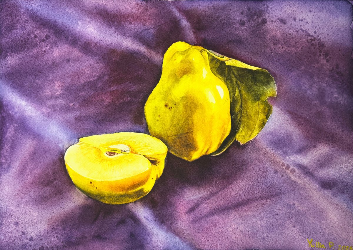 Photorealistic Watercolour , Apple Quince Etude Painting By Yuliia Prokopchuk, 14 X 10, Artwork For Sale On Artfinder