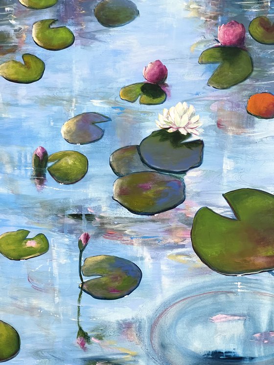 Always Waterlilies 4