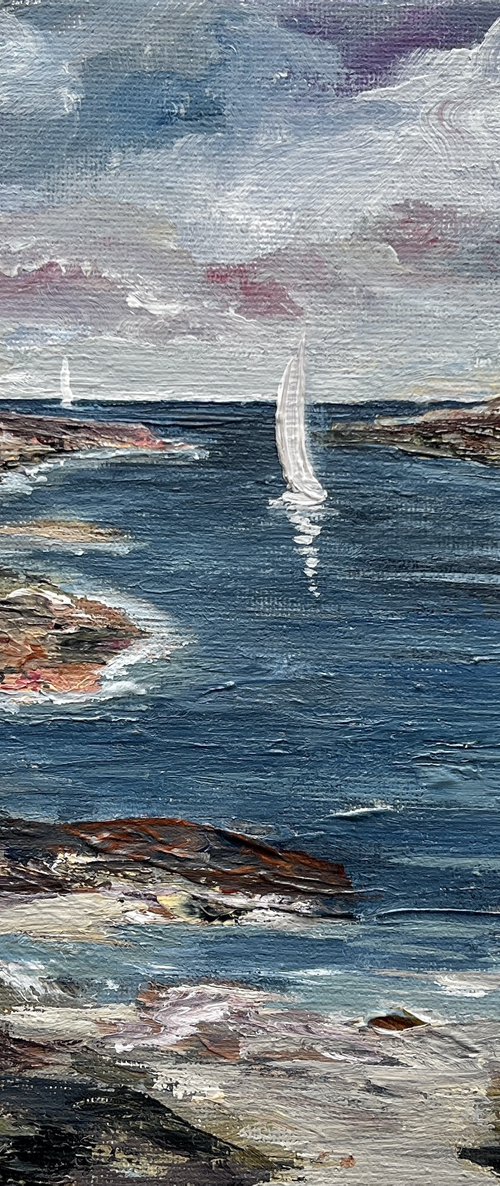 The Cove by Marja Brown