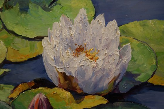 "Symphony of Water Lilies"