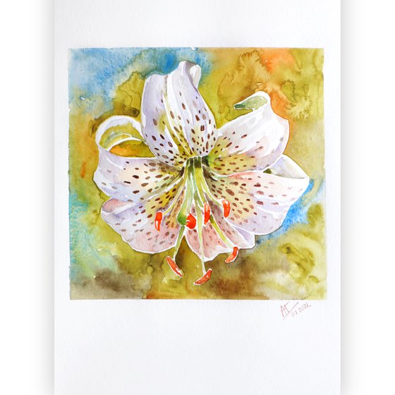 Watercolor lily illustration. White tiger lily and green leaves