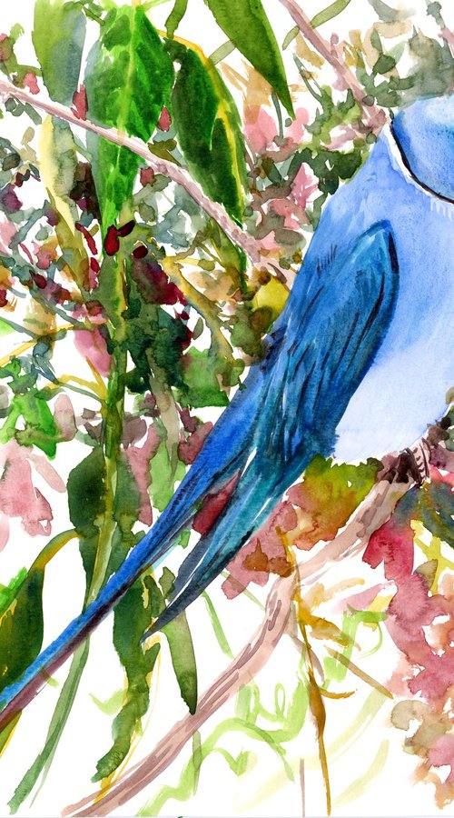 Indian blue ringneck parakeet by Suren Nersisyan