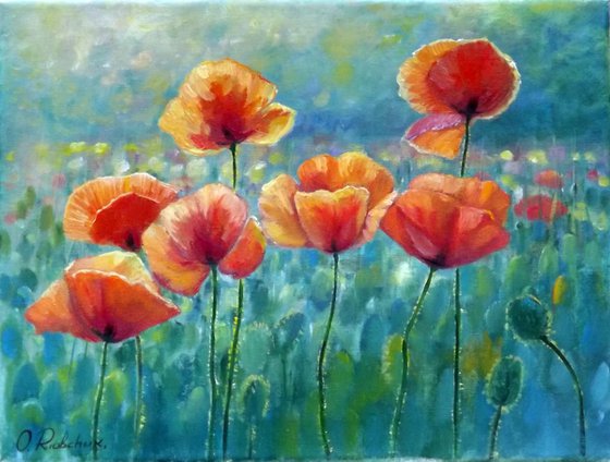 Poppy Field