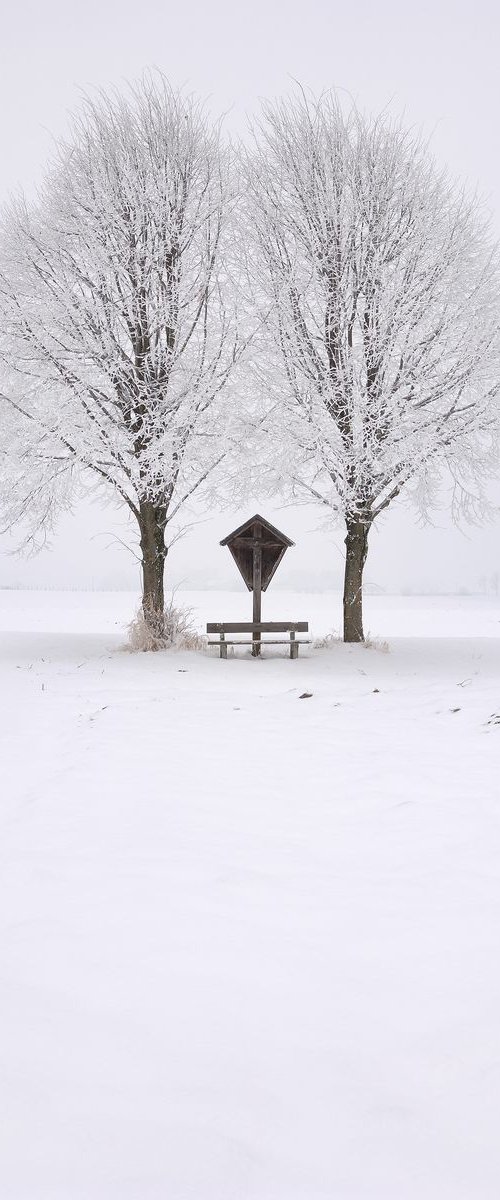 Shrine by Tom Hanslien