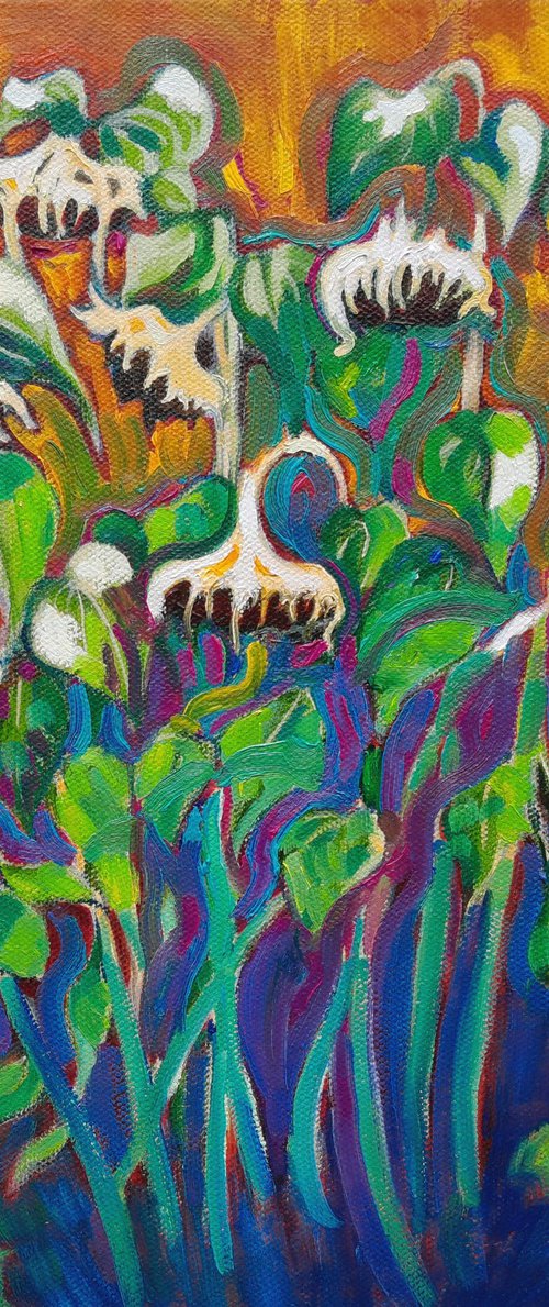 Sunflower Sunrise by Mary Kemp