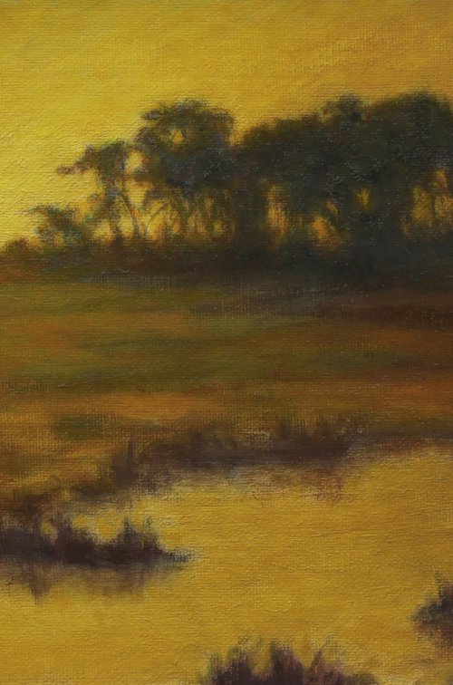 Golden Marsh by John Fleck