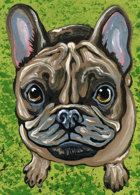 ACEO ATC Original Painting French Bulldog Frenchie Dog Art-Carla Smale