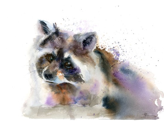 Raccoon portrait